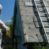 asbestos removal experts