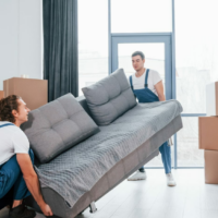 moving furniture in Auckland